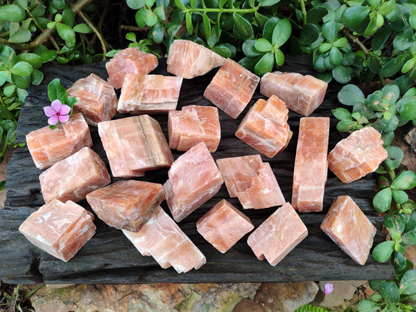 Natural Sunset Orange Rhombohedron Calcite Specimens x 24 From Spitzkop, Namibia