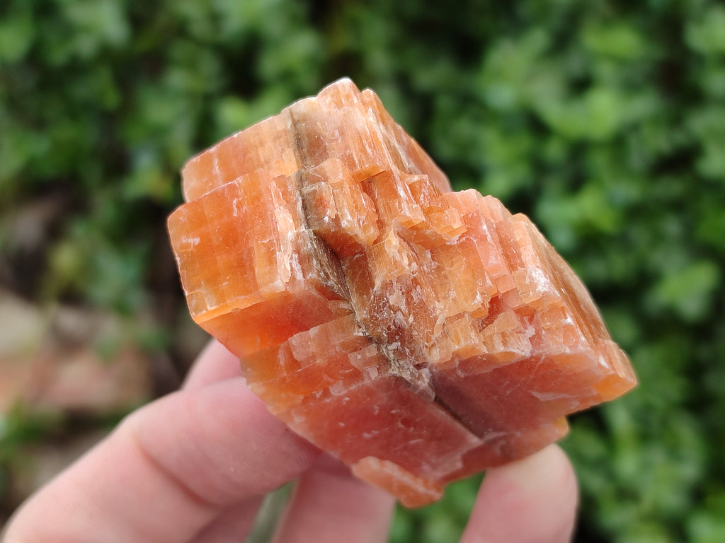 Natural Sunset Orange Rhombohedron Calcite Specimens x 24 From Spitzkop, Namibia - Toprock Gemstones and Minerals 