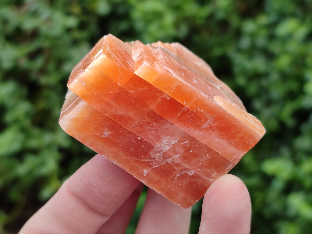 Natural Sunset Orange Rhombohedron Calcite Specimens x 24 From Spitzkop, Namibia - Toprock Gemstones and Minerals 