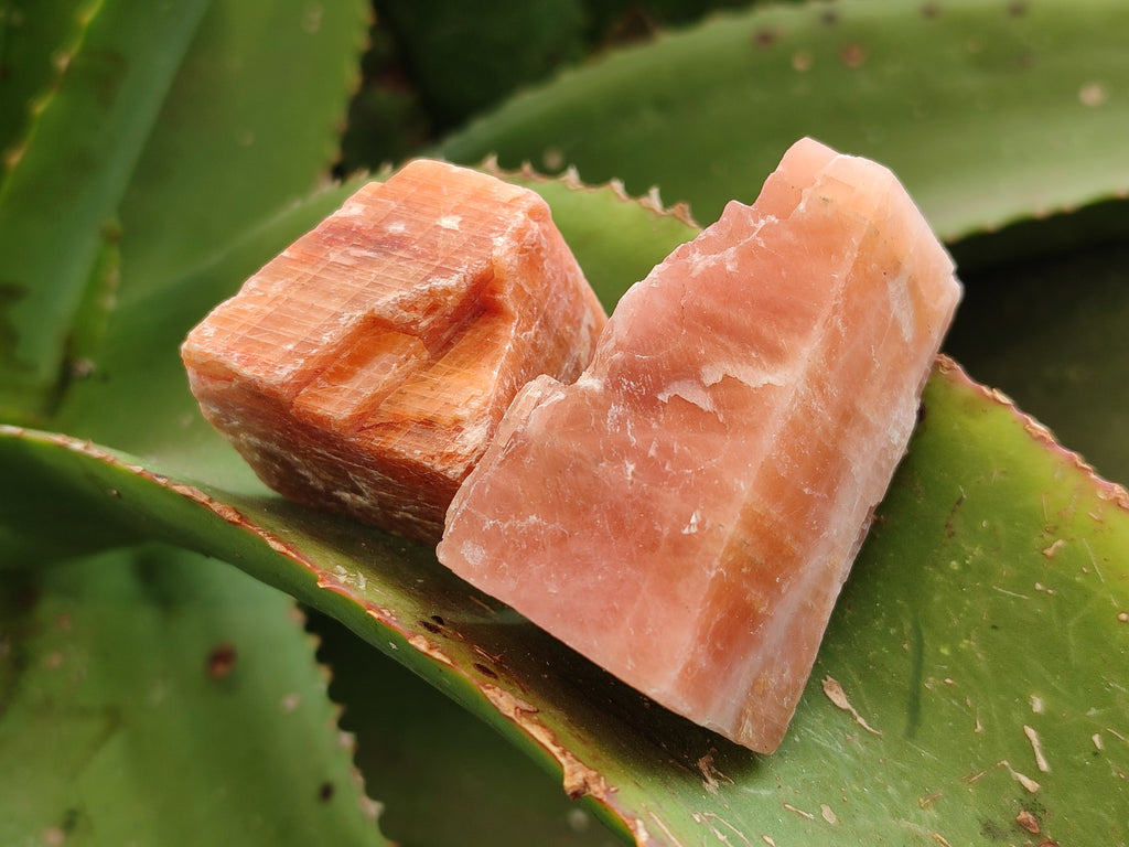 Natural Sunset Orange Rhombohedron Calcite Specimens x 24 From Spitzkop, Namibia - Toprock Gemstones and Minerals 