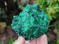 Natural Silky Malachite Specimens x 4 From Kasompe, Congo