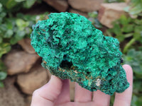 Natural Silky Malachite Specimens x 4 From Kasompe, Congo