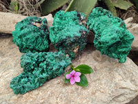 Natural Silky Malachite Specimens x 4 From Kasompe, Congo