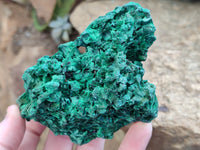 Natural Silky Malachite Specimens x 4 From Kasompe, Congo