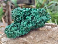 Natural Silky Malachite Specimens x 4 From Kasompe, Congo