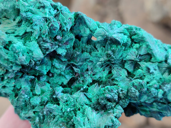 Natural Silky Malachite Specimens x 4 From Kasompe, Congo