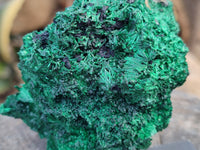 Natural Silky Malachite Specimens x 4 From Kasompe, Congo