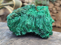 Natural Silky Malachite Specimens x 4 From Kasompe, Congo