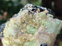 Natural Schorl Black Tourmaline Floater Crystal with Feldspar and Hyalite x 1 From Erongo, Namibia