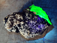 Natural Schorl Black Tourmaline Floater Crystal with Feldspar and Hyalite x 1 From Erongo, Namibia