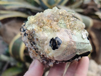 Natural Schorl Black Tourmaline Floater Crystal with Feldspar and Hyalite x 1 From Erongo, Namibia