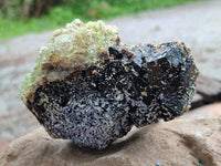Natural Schorl Black Tourmaline Floater Crystal with Feldspar and Hyalite x 1 From Erongo, Namibia