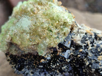 Natural Schorl Black Tourmaline Floater Crystal with Feldspar and Hyalite x 1 From Erongo, Namibia