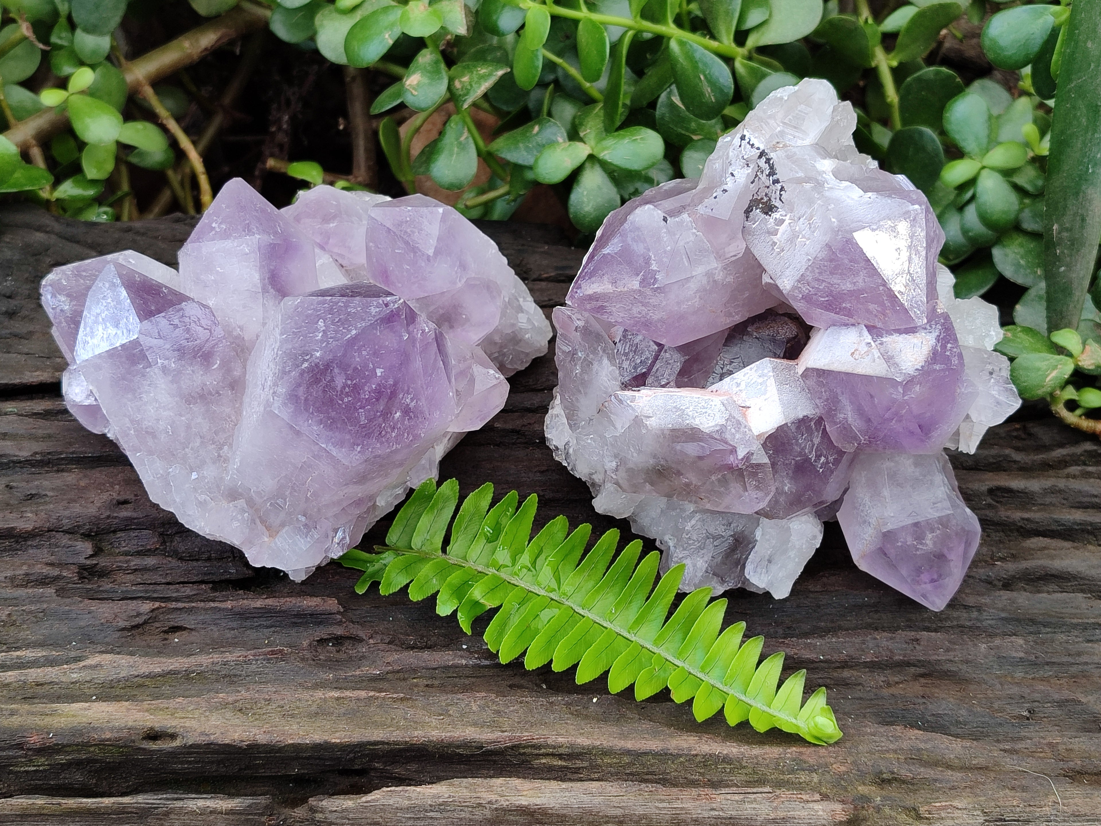 Natural Jacaranda Amethyst Quartz Clusters x 2 From Mumbwa, Zambia - Toprock Gemstones and Minerals 