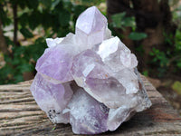 Natural Jacaranda Amethyst Quartz Clusters x 2 From Mumbwa, Zambia