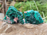 Natural Dioptase On Dolomite Specimens x 6 From Likasi, Congo