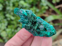 Natural Dioptase On Dolomite Specimens x 6 From Likasi, Congo
