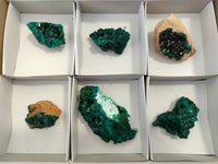 Natural Dioptase On Dolomite Specimens x 6 From Likasi, Congo