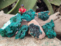 Natural Dioptase On Dolomite Specimens x 6 From Likasi, Congo