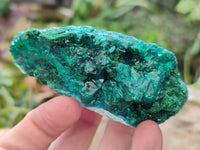 Natural Dioptase On Dolomite Specimens x 6 From Likasi, Congo