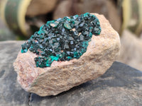 Natural Dioptase On Dolomite Specimens x 6 From Likasi, Congo