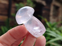 Polished AA Grade Rose Quartz Mushrooms x 20 From Ambatondrazaka, Madagascar