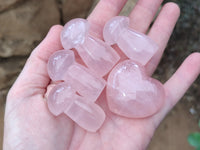 Polished AA Grade Rose Quartz Mushrooms x 20 From Ambatondrazaka, Madagascar