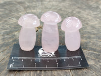 Polished AA Grade Rose Quartz Mushrooms x 20 From Ambatondrazaka, Madagascar