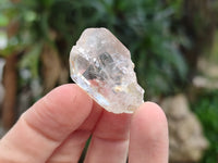 Natural Clear Single Quartz Crystals x 98 From Brandberg, Namibia