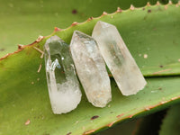 Natural Clear Single Quartz Crystals x 98 From Brandberg, Namibia
