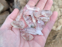Natural Clear Single Quartz Crystals x 98 From Brandberg, Namibia
