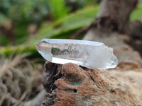 Natural Clear Single Quartz Crystals x 98 From Brandberg, Namibia