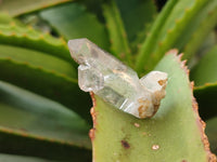 Natural Clear Single Quartz Crystals x 98 From Brandberg, Namibia