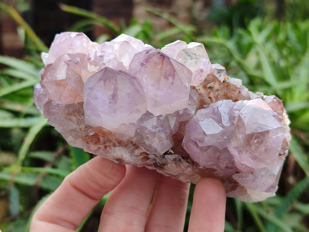 Natural Amethyst Spirit Quartz Clusters x 3 From Boekenhouthoek, South Africa - Toprock Gemstones and Minerals 
