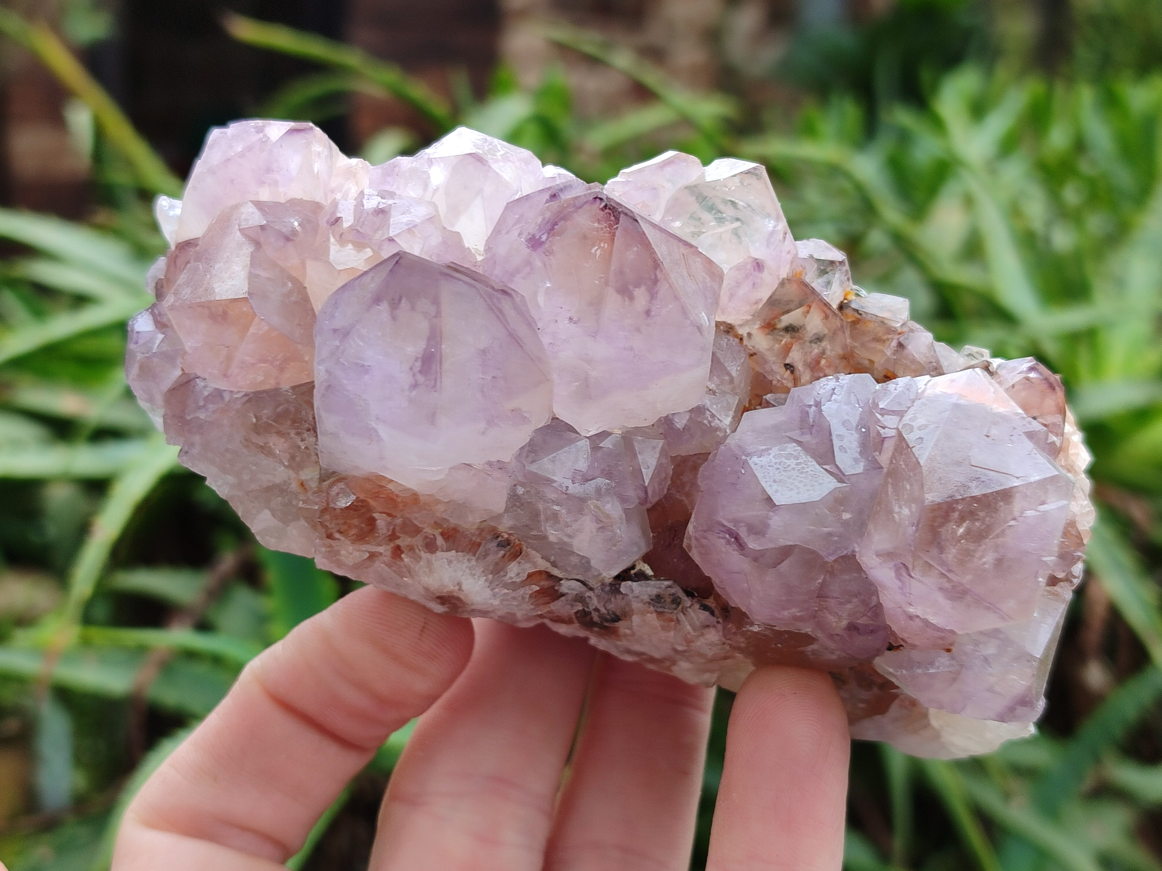 Natural Amethyst Spirit Quartz Clusters x 3 From Boekenhouthoek, South Africa - Toprock Gemstones and Minerals 