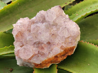 Natural Amethyst Spirit Quartz Clusters x 3 From Boekenhouthoek, South Africa