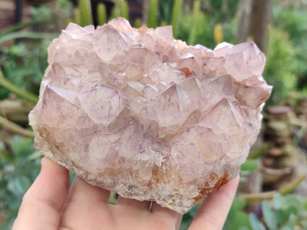 Natural Amethyst Spirit Quartz Clusters x 3 From Boekenhouthoek, South Africa - Toprock Gemstones and Minerals 
