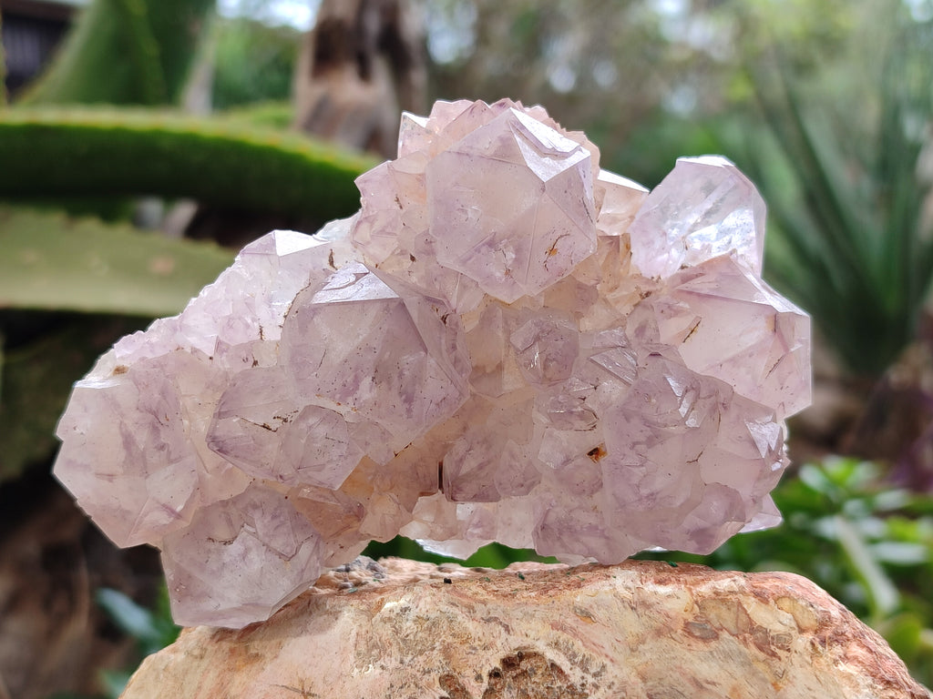 Natural Amethyst Spirit Quartz Clusters x 3 From Boekenhouthoek, South Africa - Toprock Gemstones and Minerals 