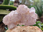 Natural Amethyst Spirit Quartz Clusters x 3 From Boekenhouthoek, South Africa - Toprock Gemstones and Minerals 