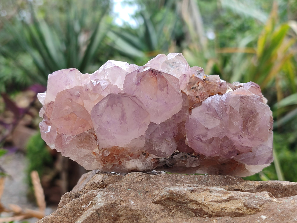 Natural Amethyst Spirit Quartz Clusters x 3 From Boekenhouthoek, South Africa - Toprock Gemstones and Minerals 