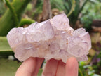Natural Amethyst Spirit Quartz Clusters x 3 From Boekenhouthoek, South Africa - Toprock Gemstones and Minerals 