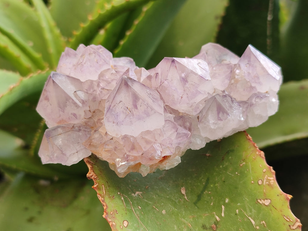 Natural Amethyst Spirit Quartz Clusters x 3 From Boekenhouthoek, South Africa - Toprock Gemstones and Minerals 