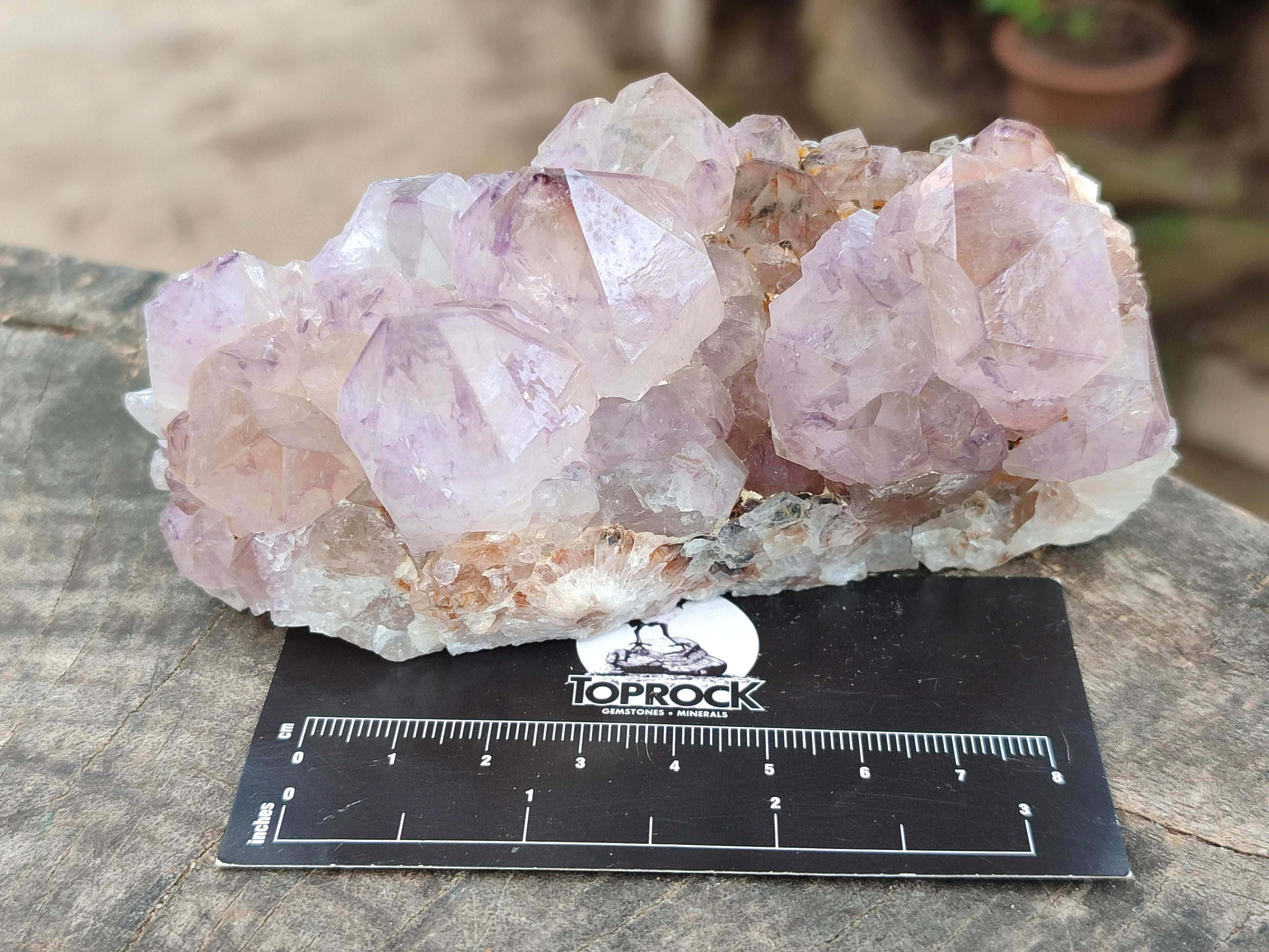 Natural Amethyst Spirit Quartz Clusters x 3 From Boekenhouthoek, South Africa - Toprock Gemstones and Minerals 