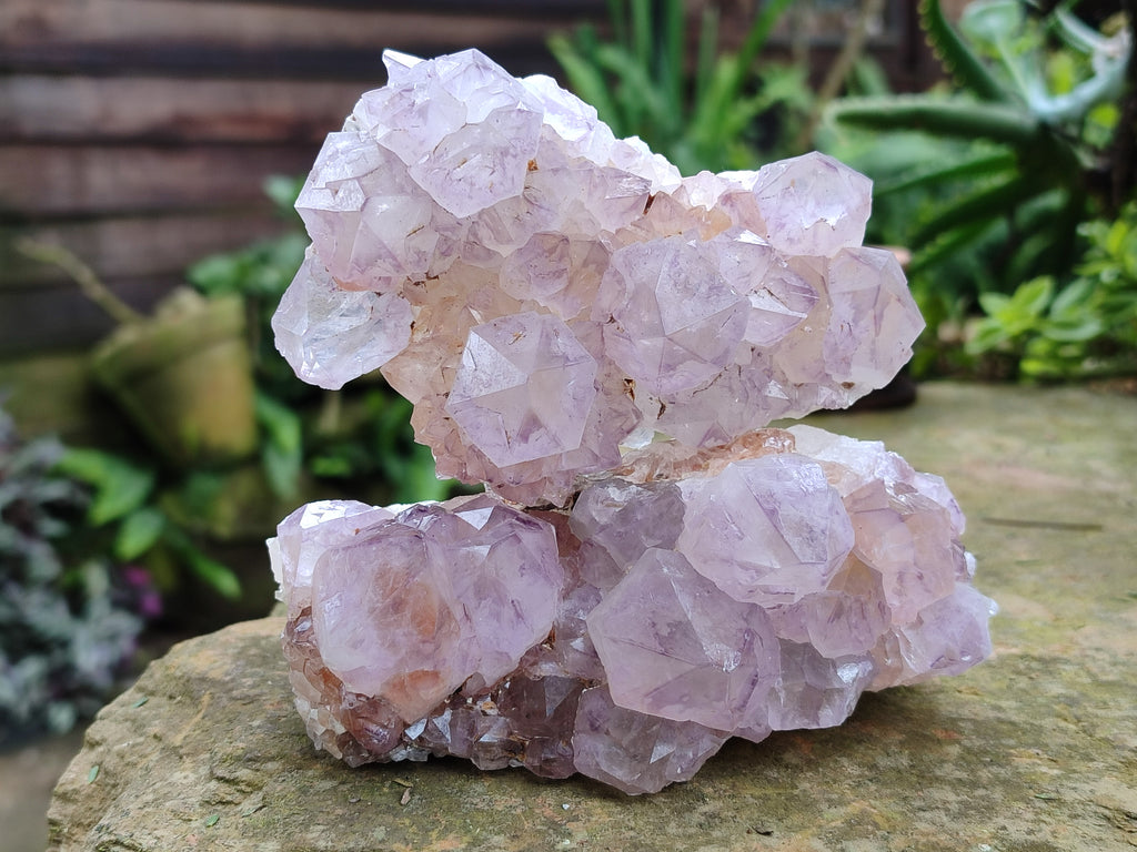 Natural Amethyst Spirit Quartz Clusters x 3 From Boekenhouthoek, South Africa - Toprock Gemstones and Minerals 