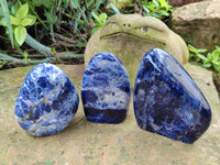 Polished Sodalite Standing Free Forms x 3 From Kunene River, Namibia