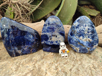 Polished Sodalite Standing Free Forms x 3 From Kunene River, Namibia