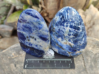 Polished Sodalite Standing Free Forms x 3 From Kunene River, Namibia