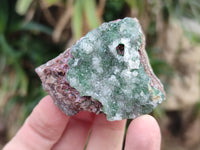 Natural Drusy Salrose Cobaltion Dolomite with Malachite, Chrysocolla, Heterogenite and Duftite specimens x 36 From Congo