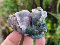 Natural Drusy Salrose Cobaltion Dolomite with Malachite, Chrysocolla, Heterogenite and Duftite specimens x 36 From Congo