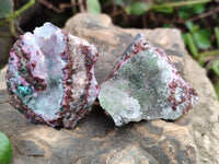 Natural Drusy Salrose Cobaltion Dolomite with Malachite, Chrysocolla, Heterogenite and Duftite specimens x 36 From Congo